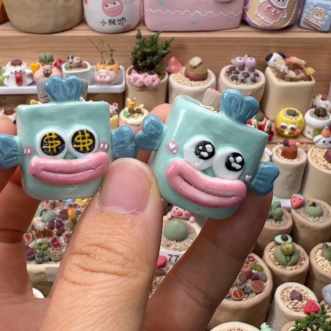 多肉植物106号一起