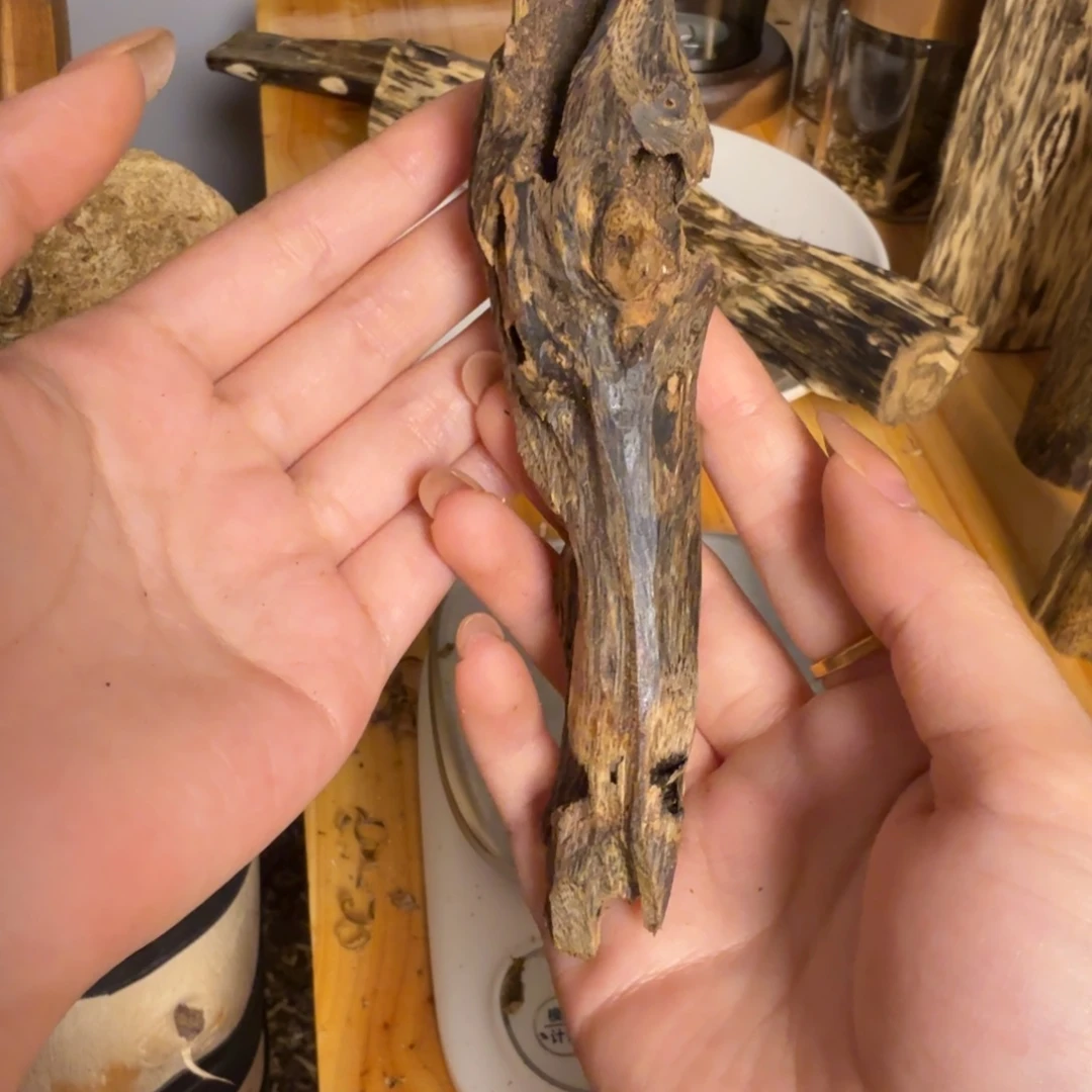 沉香白奇虫漏香18克