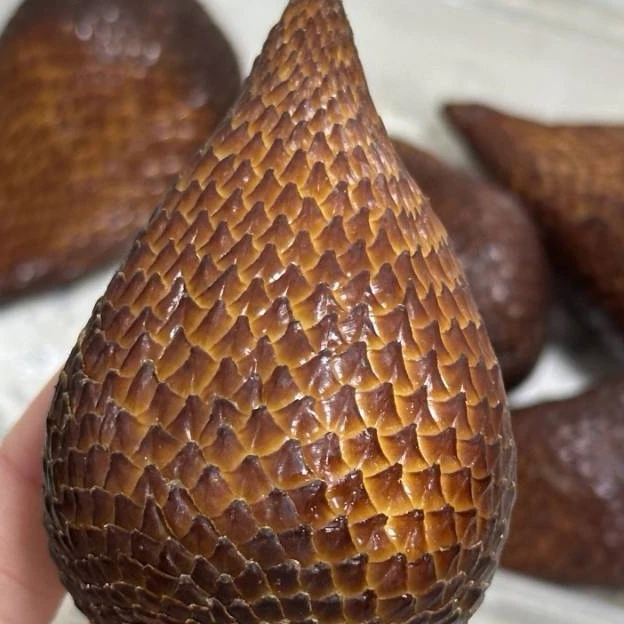 热带水果蛇皮果3.1Kg毛重