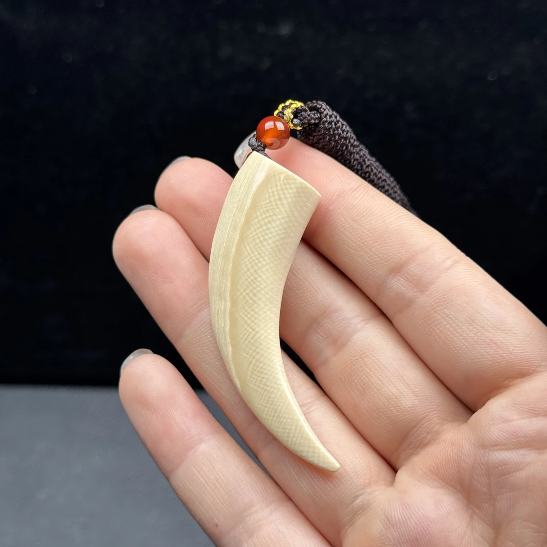 L3441天然猛犸牙牙尖59.4mm支持鉴定 假一罚四