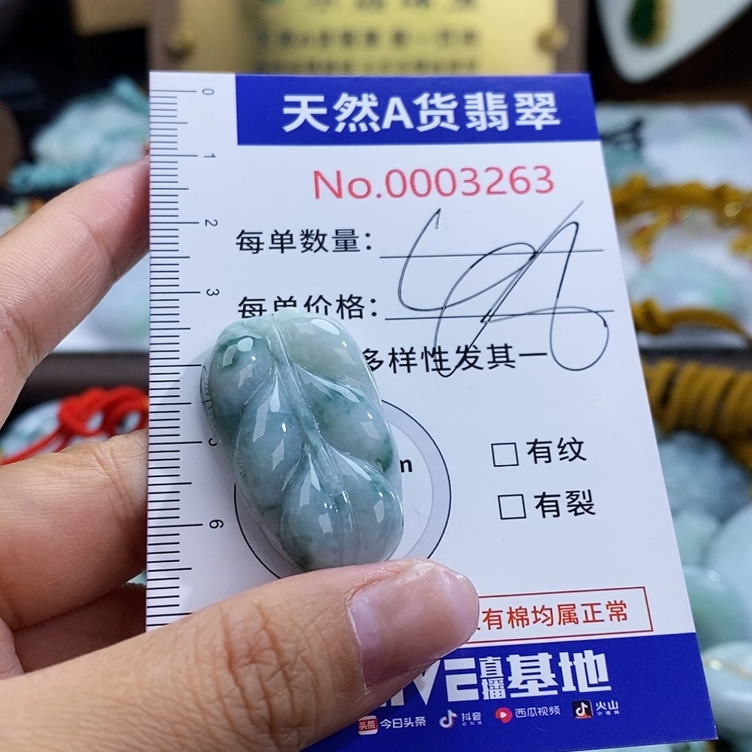 翡翠未镶嵌颈饰3263
