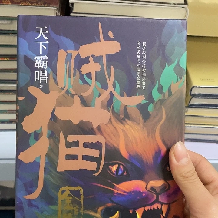 贼猫   精装带塑封