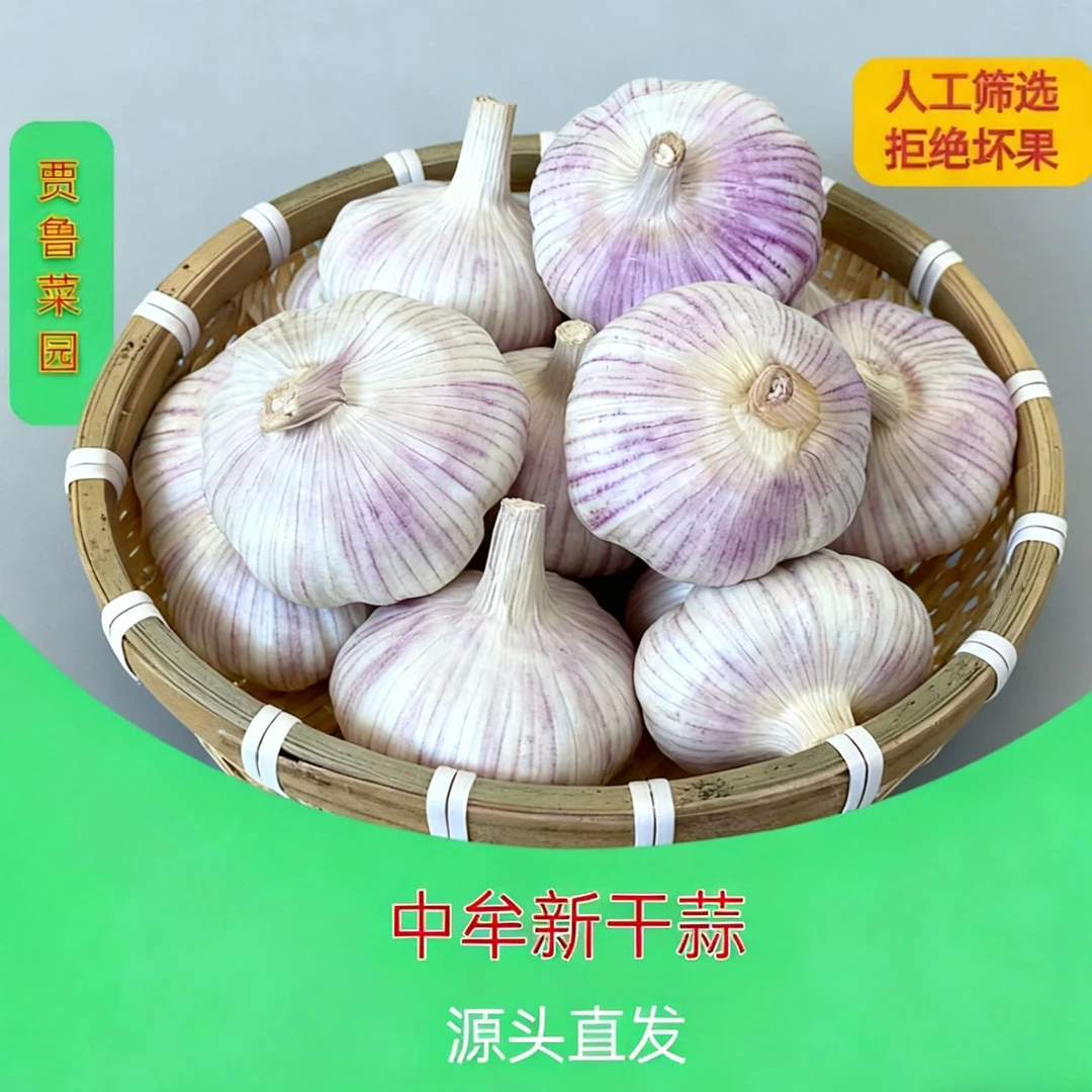 （产地直发）2025中牟紫皮大蒜3斤5斤9斤(含箱重）