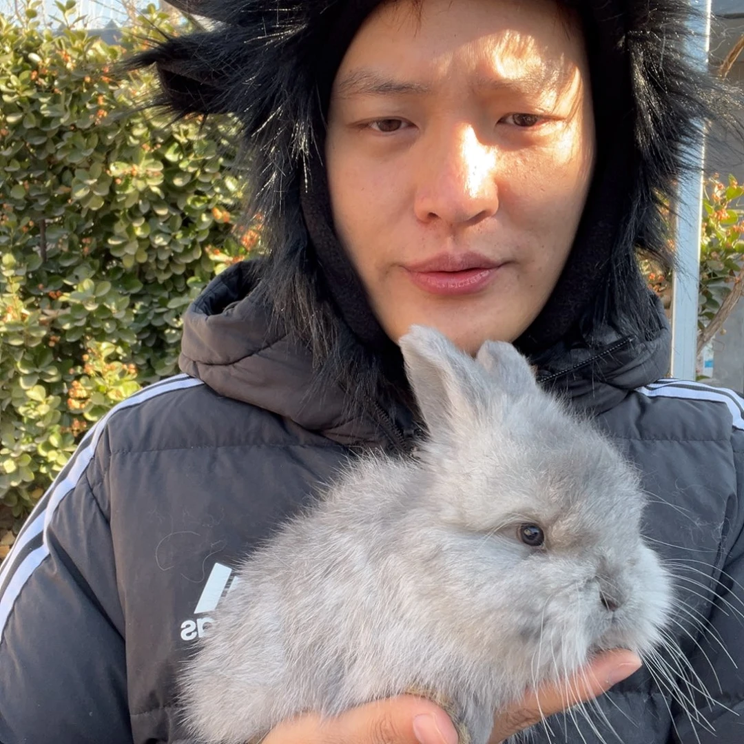 一***@双血统英系安哥拉兔