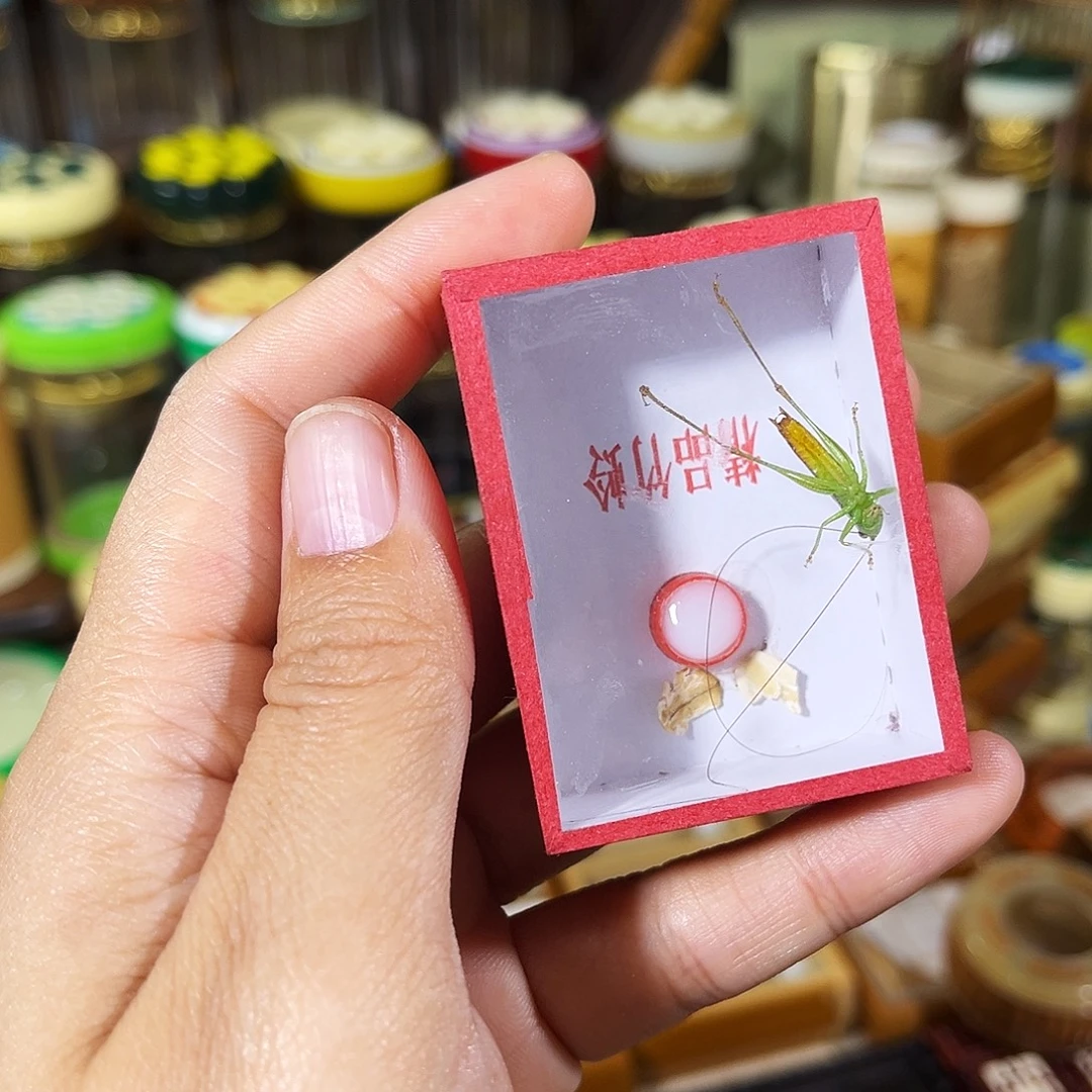 蟋蟀一只糖果彩螽