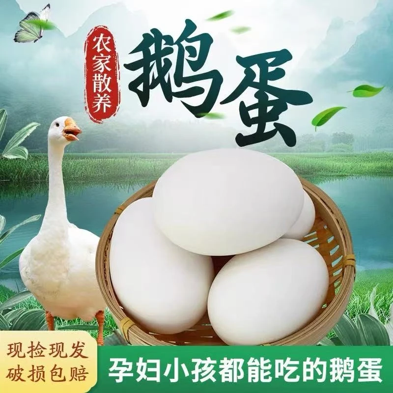 农家散养新鲜鹅蛋纯天然营养丰富适合孕妇宝宝