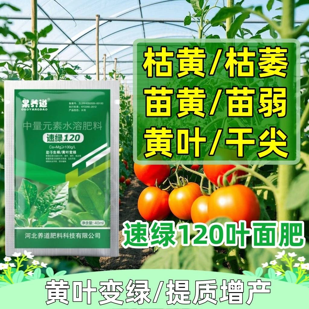 果养道速绿120叶面肥肥料氨基酸水溶叶面肥农资肥料
