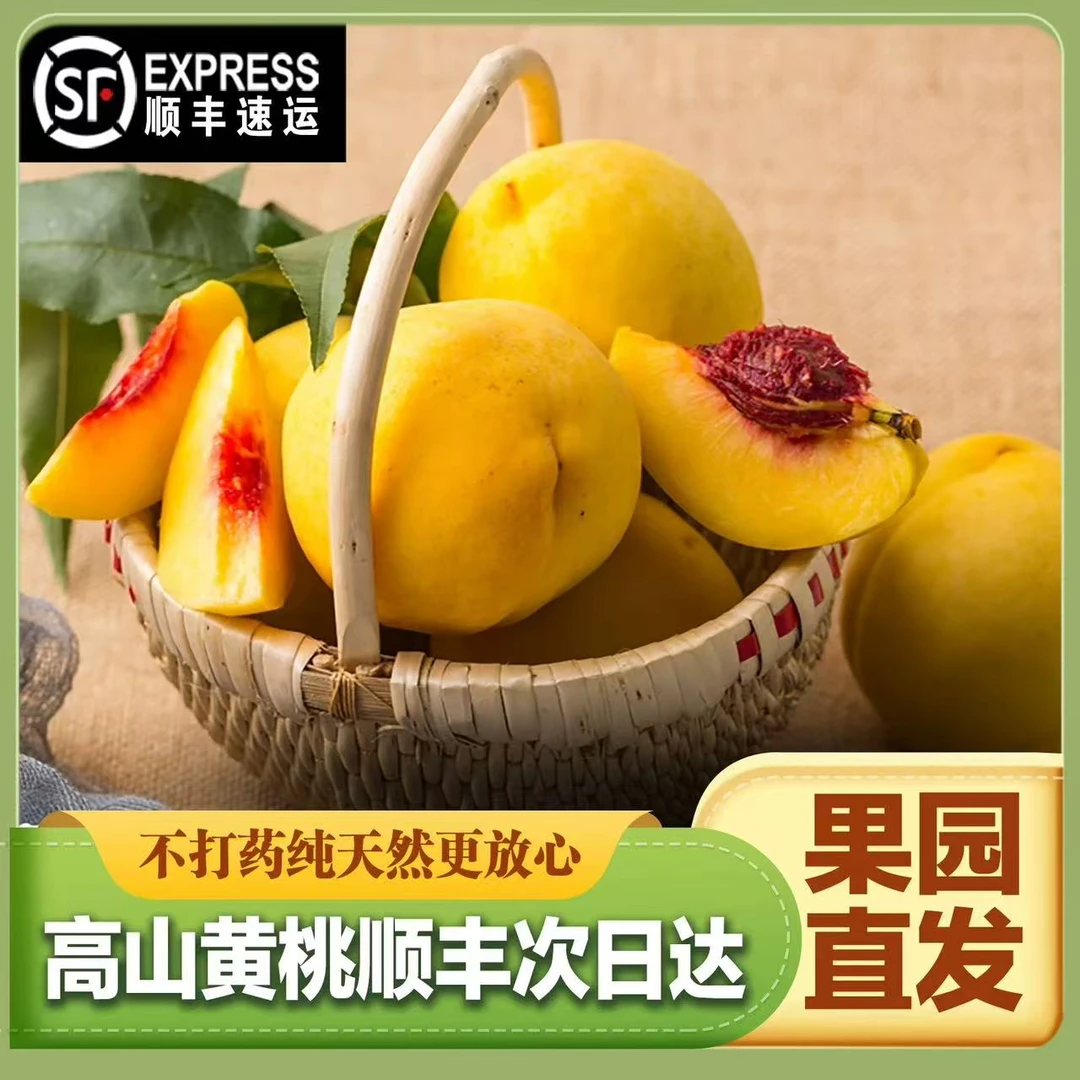 5斤炎陵黄桃湖南黄桃现摘现发新鲜水果锦绣桃子【顺丰包邮】