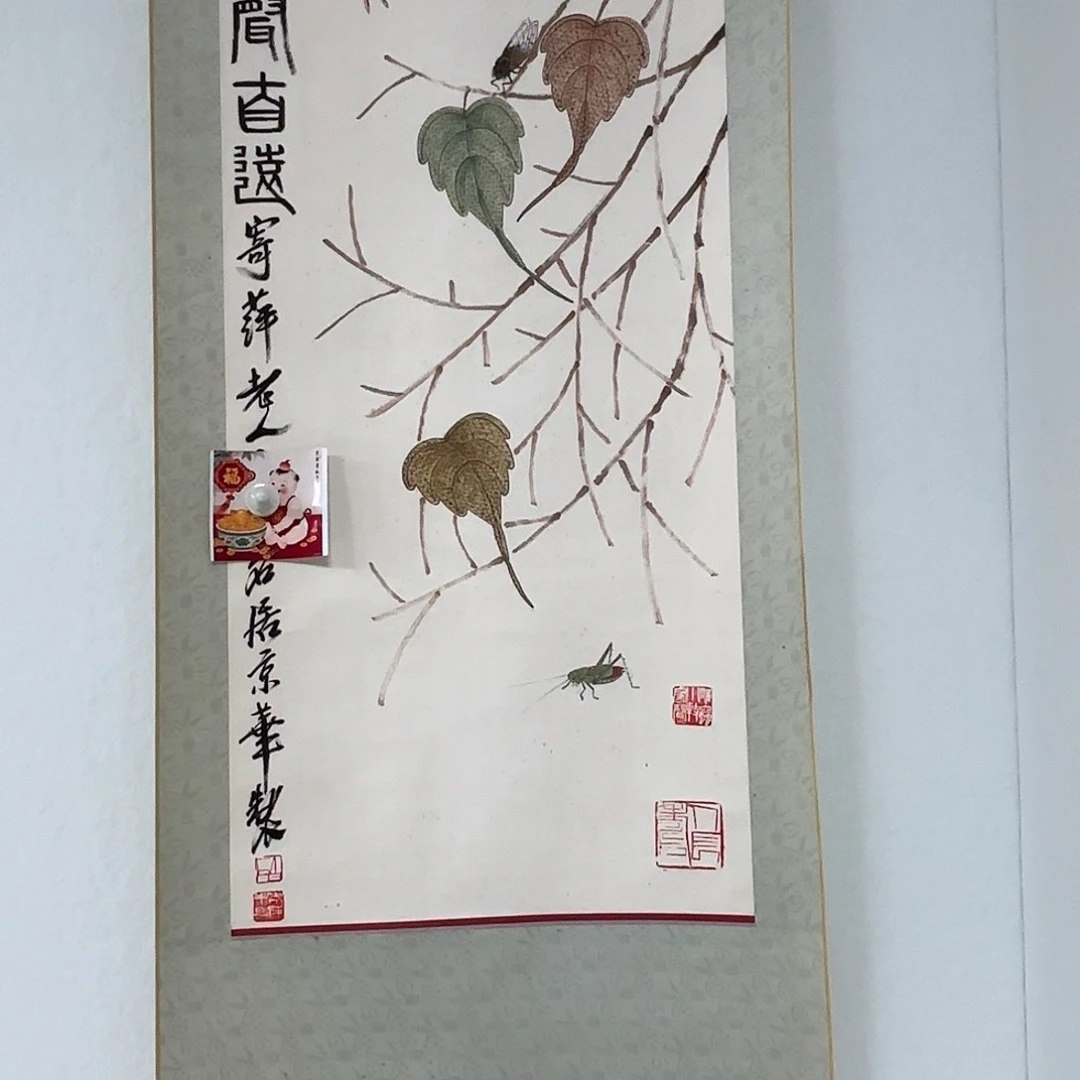 禾***生老张专拍专拍链接