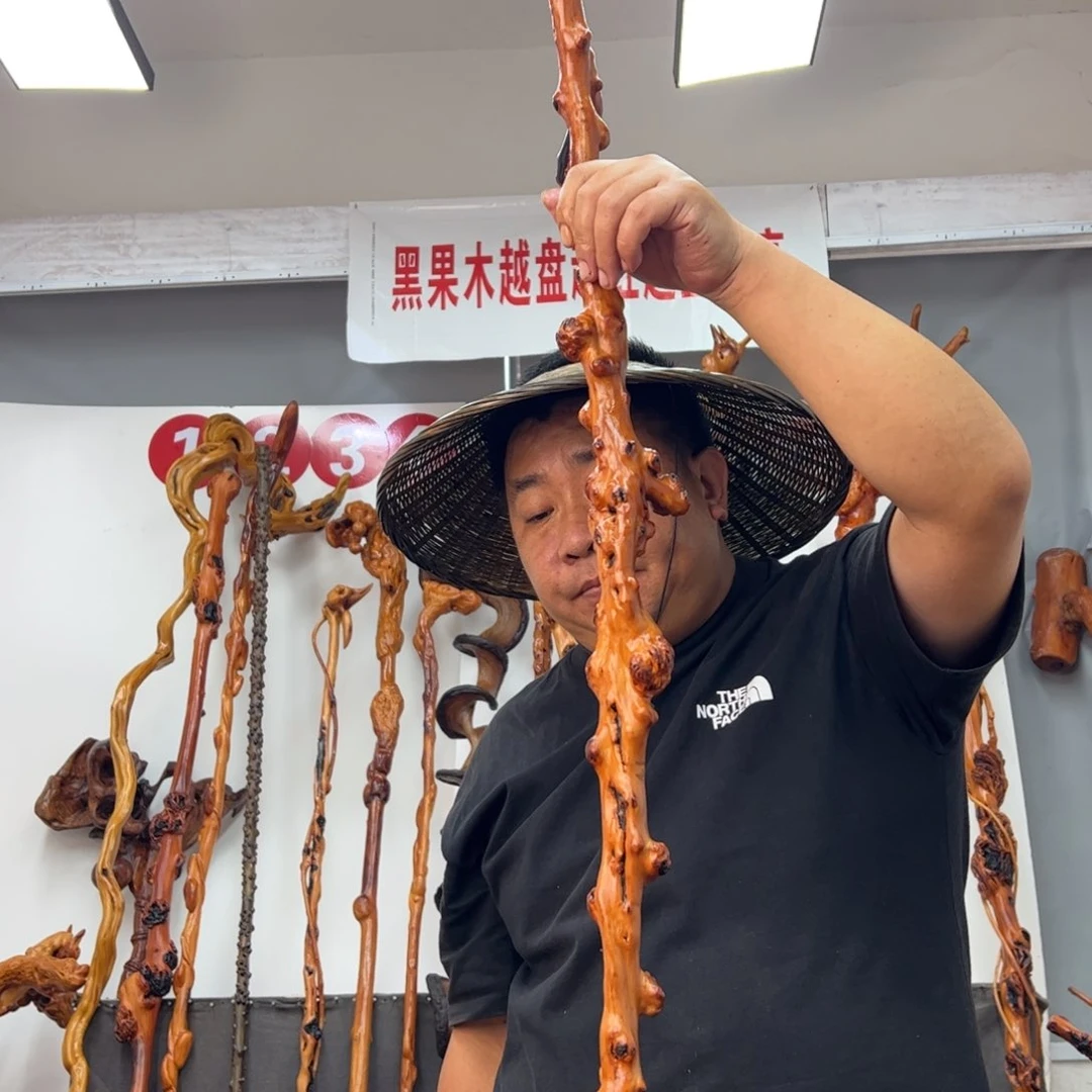 隳***）黑果木其他黑果木151