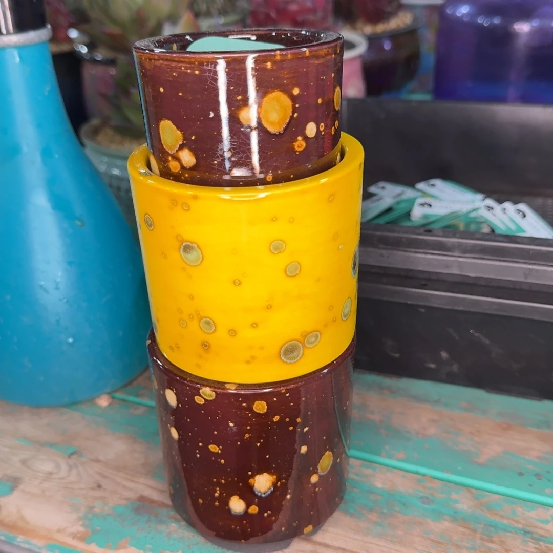 彼***花从前慢多肉精选编号0102.153