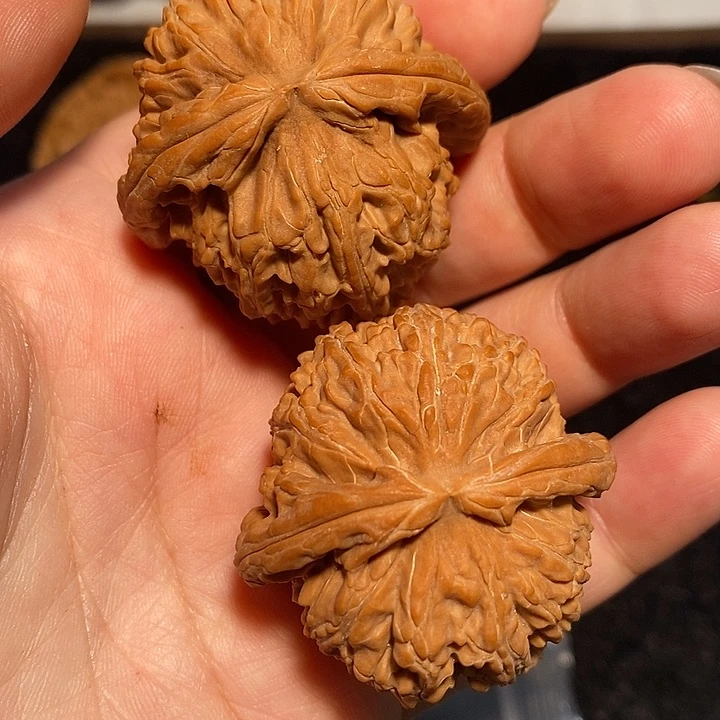 文玩核桃吊坠白狮子