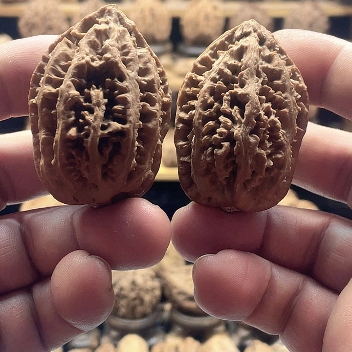 文玩核桃把件珊瑚纹21