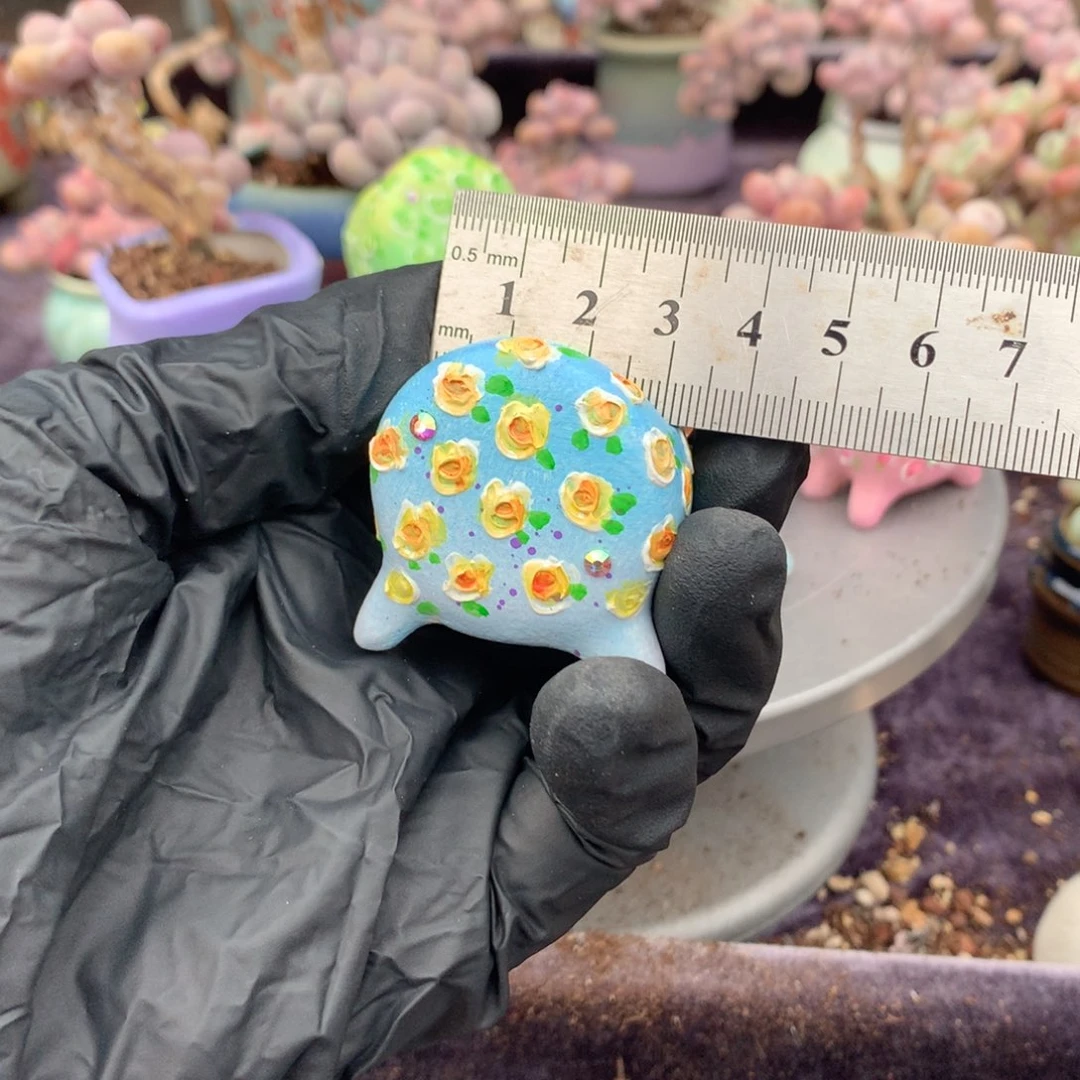 水***尘20号花盆偏远地区不包邮的