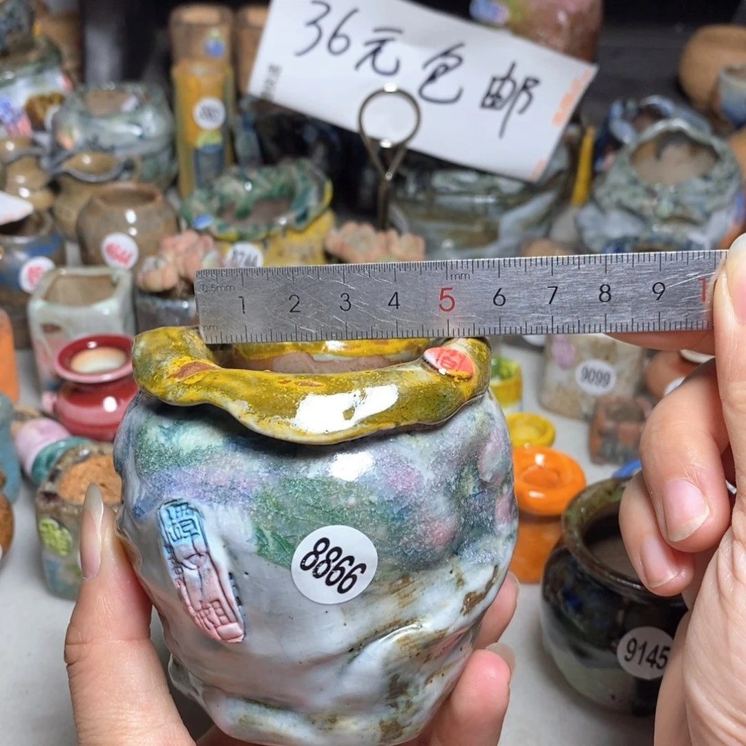 拍2送一个小礼物