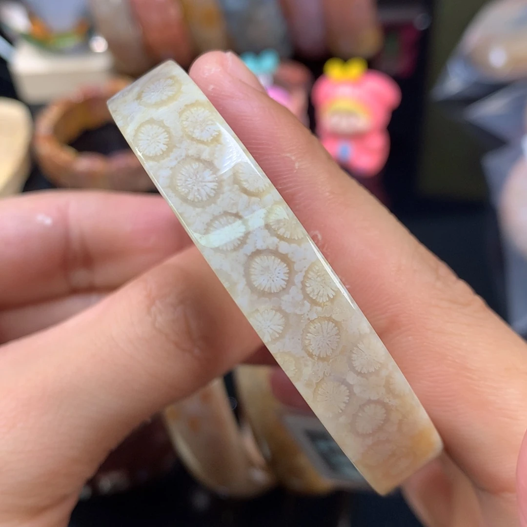 【闪购商品】颈饰未镶嵌硅化珊瑚（珊瑚玉）79号58.3圈双面花