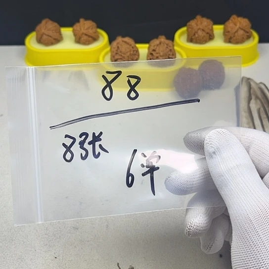 文玩核桃吊坠核桃等经济作物和蔬菜的种植和