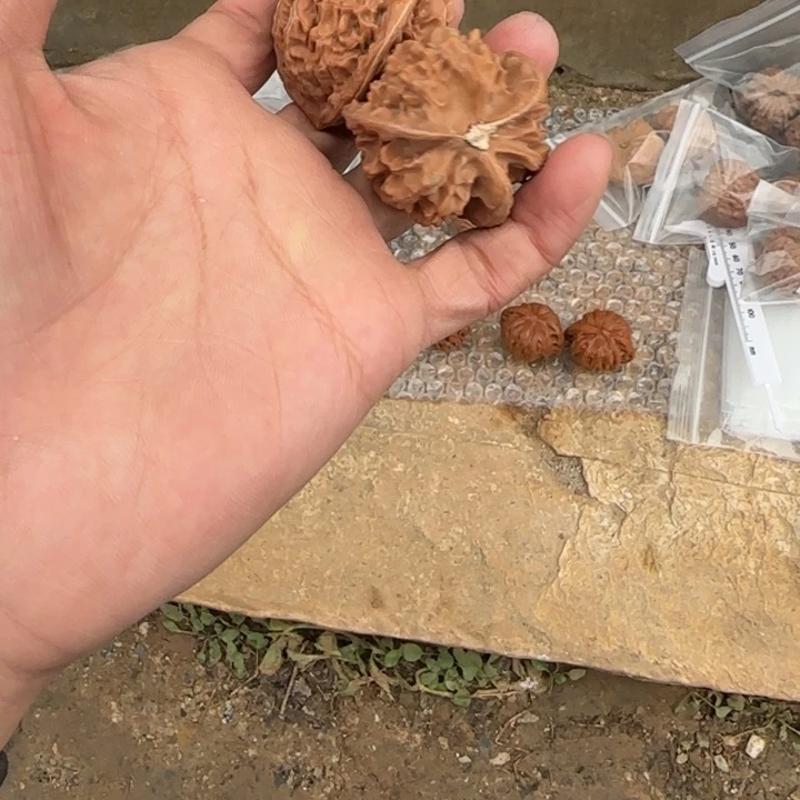 ****鸣文玩核桃把件三棱