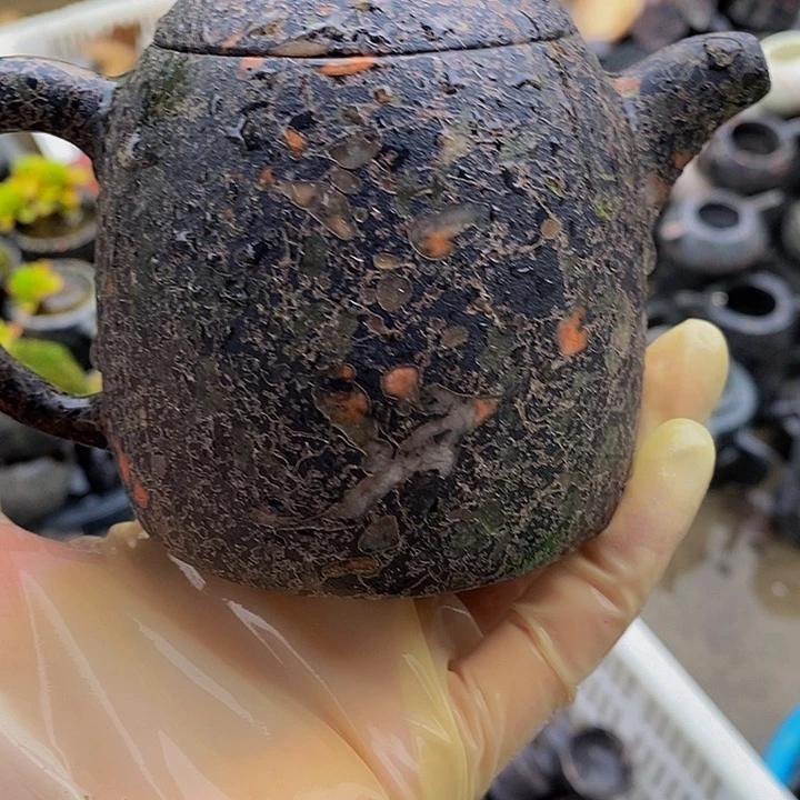 梅花玉福利多多不退换