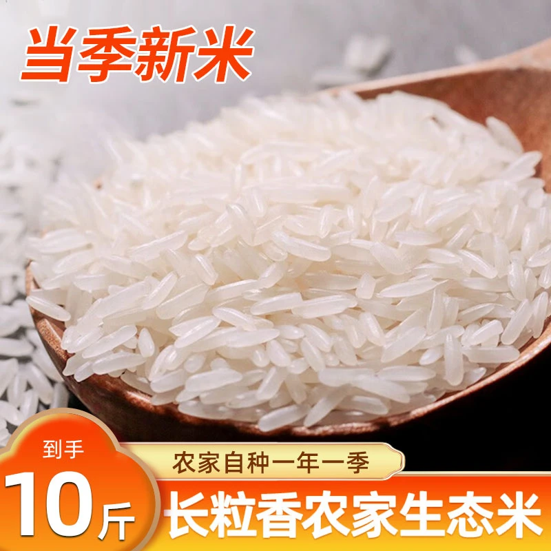 觅香福长粒香米丝苗米新米10斤20斤50斤蛋炒饭煲仔饭猫牙米