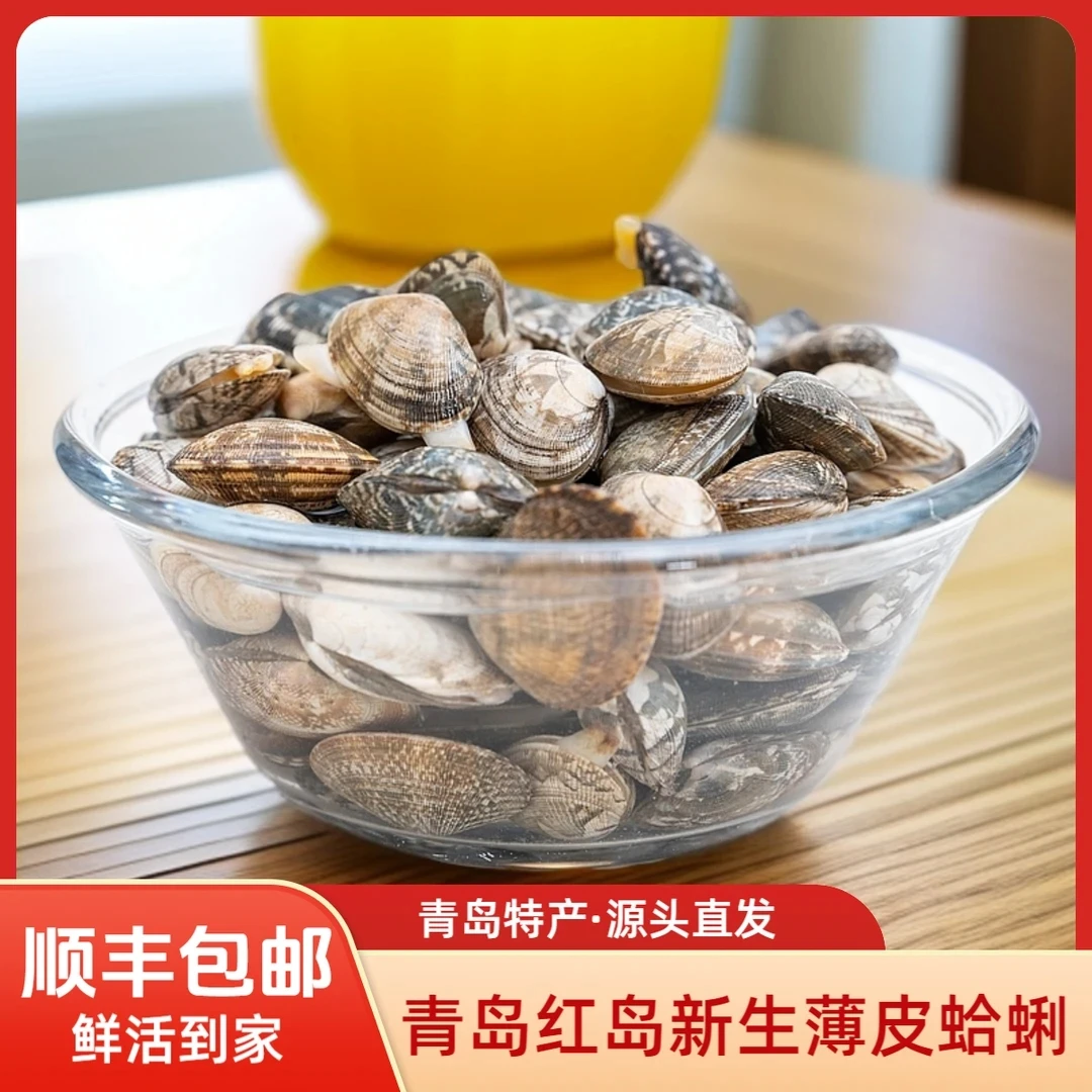 红岛蛤蜊青岛鲜活新生蛤蜊青岛花甲红岛薄皮蛤蜊无泥无沙