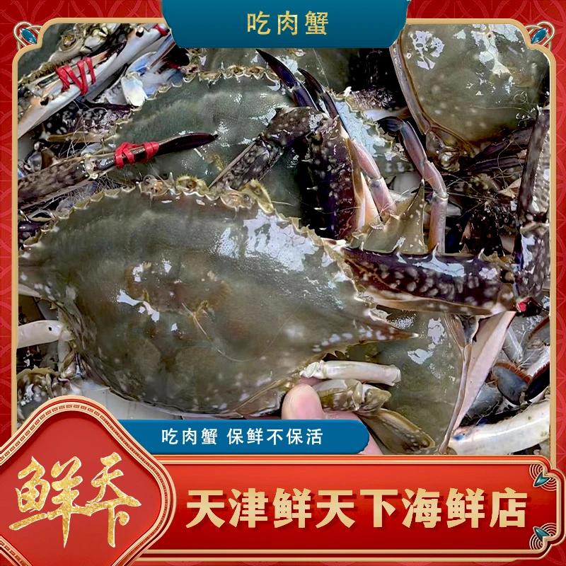 【保鲜不保活】炒蟹 一斤2-5只 单只3-5两 只能炒着吃 掉爪