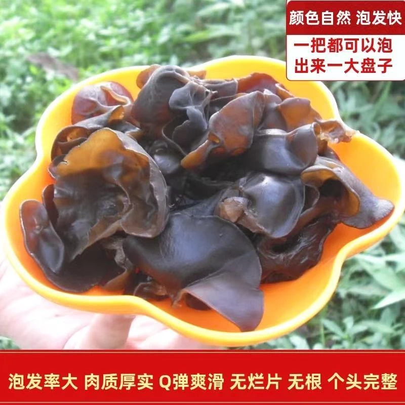 25年东北新农家黑木耳东北黑木耳东北特产秋木耳250克1袋肉厚软糯