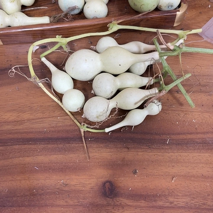 楠***枫ixgxoxohxohcohhocohcu