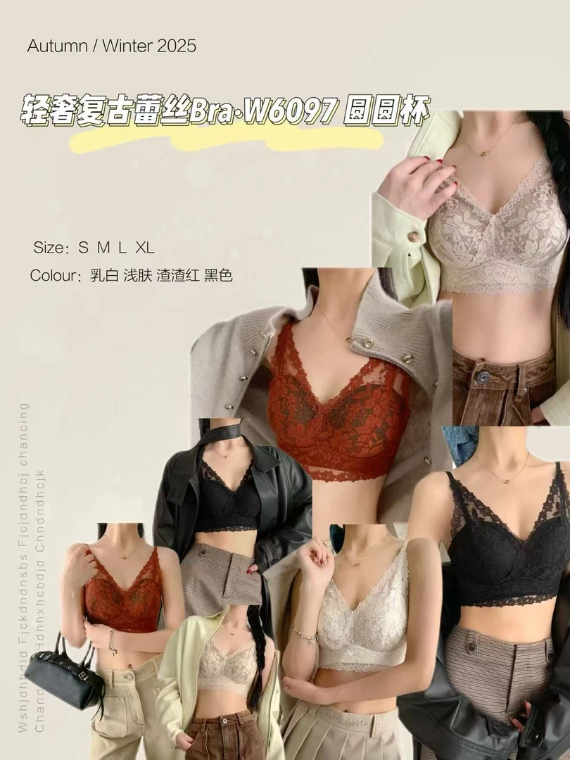 BAOZI【Bra.W6097】法式V领设计轻奢复古蕾丝立体3D园园杯美背