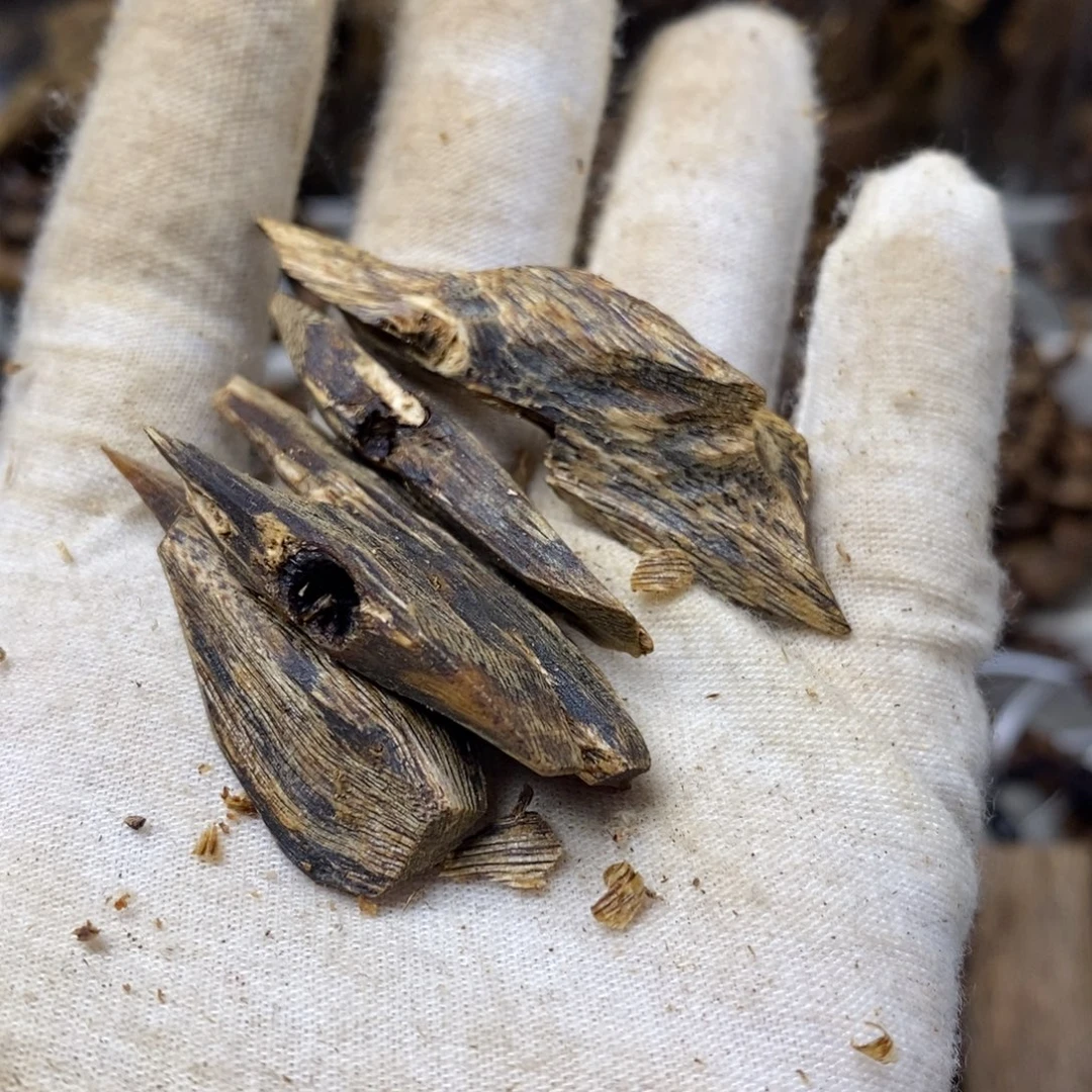 沉香碎屑沉香10.3克