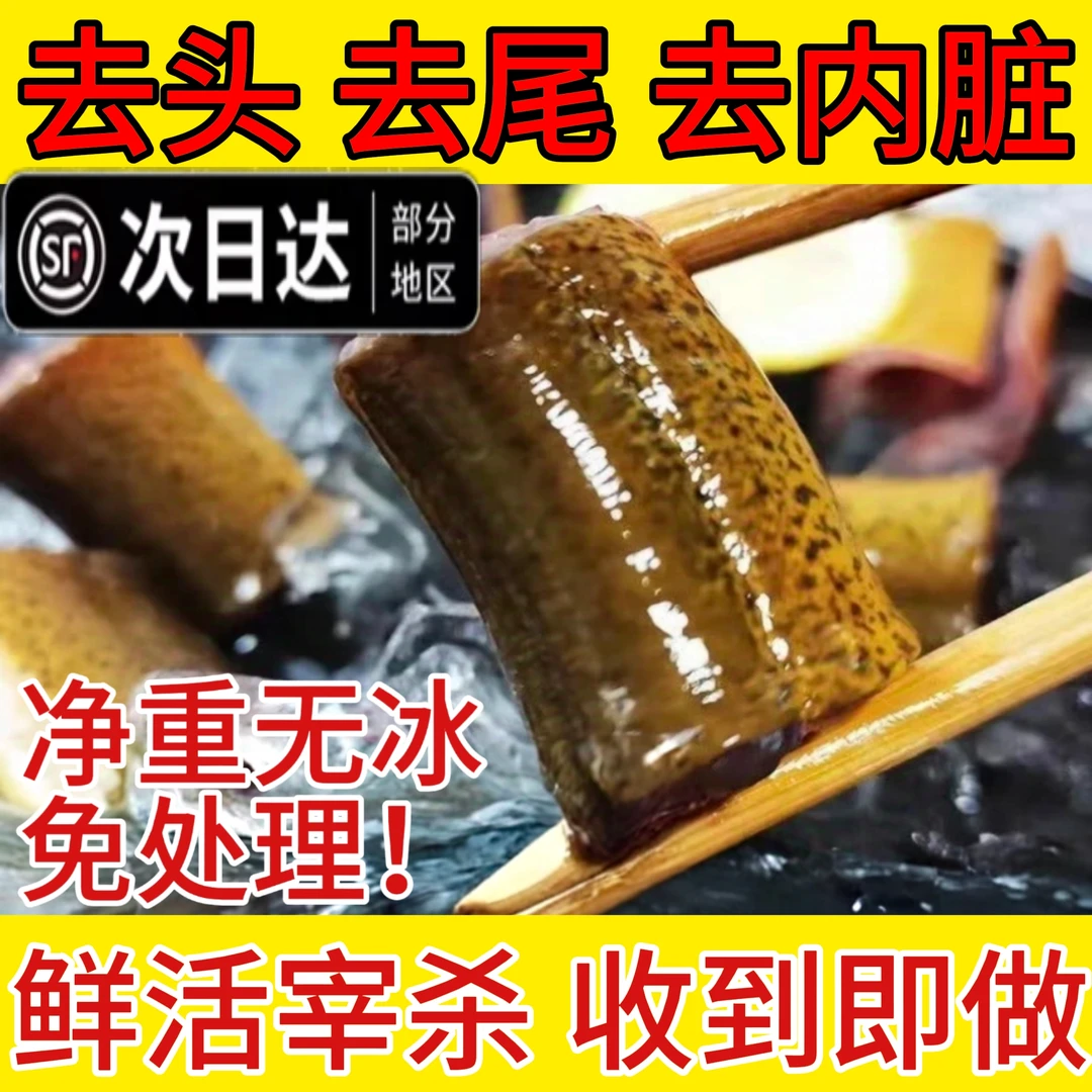 土黄鳝鱼段新鲜去头去脏鲜活现杀商用原生态鳝鱼片段炖骨煲汤鳝段