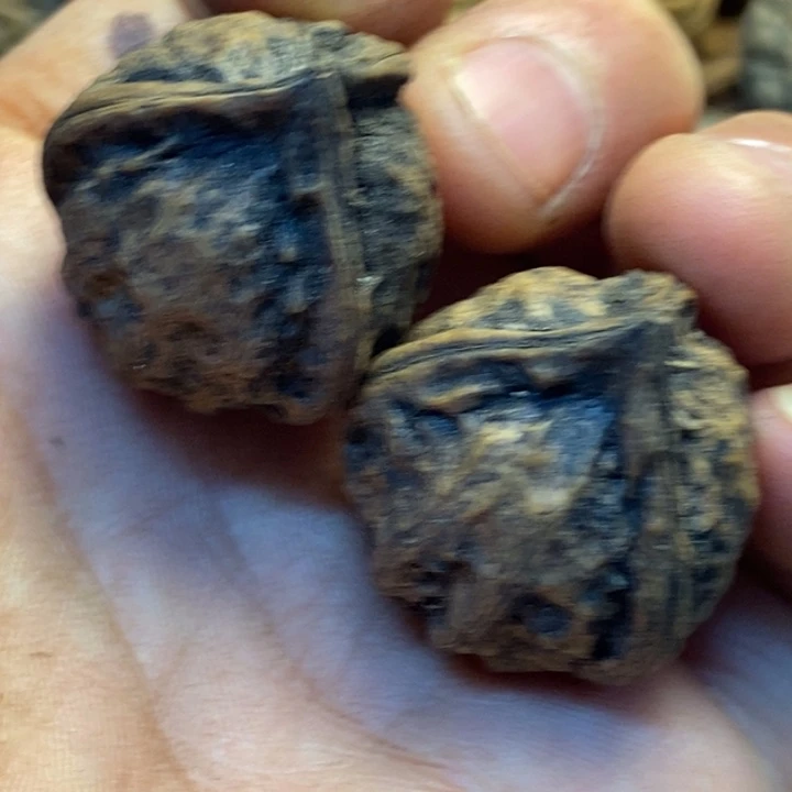 甜***^桃核吊坠哪里的哪里69