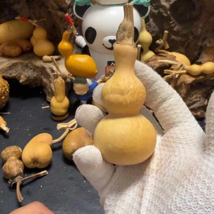 守***人66……………………………………