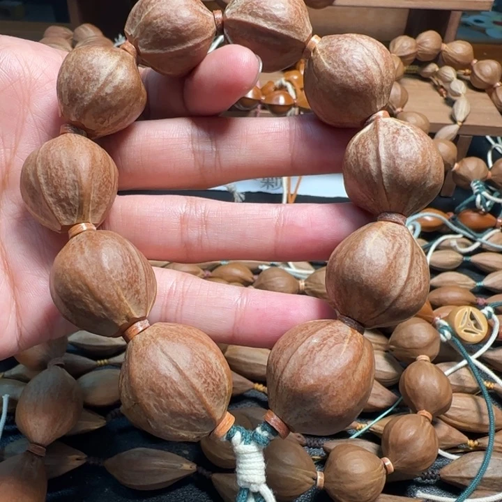 橄榄核其他橄榄油和橄榄