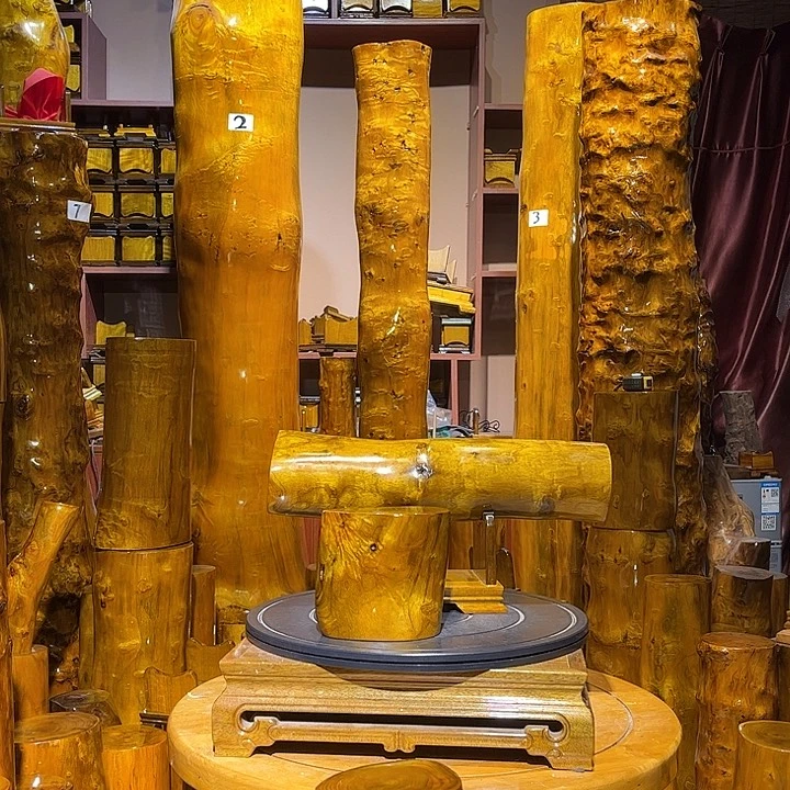 金丝楠小叶桢楠金丝楠