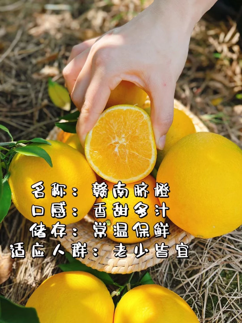 2025正宗赣南脐橙自家果园现摘现发