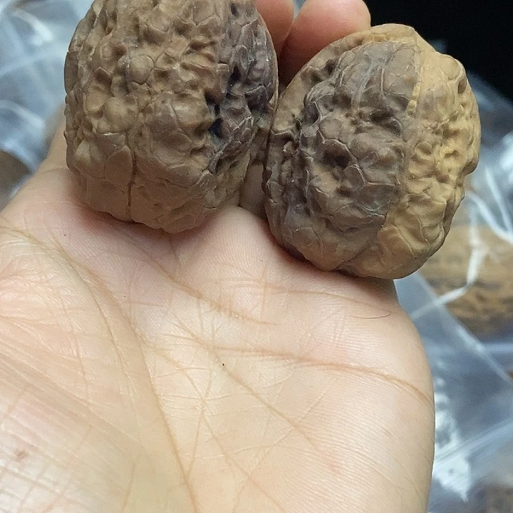 木质类云南铁核桃+51