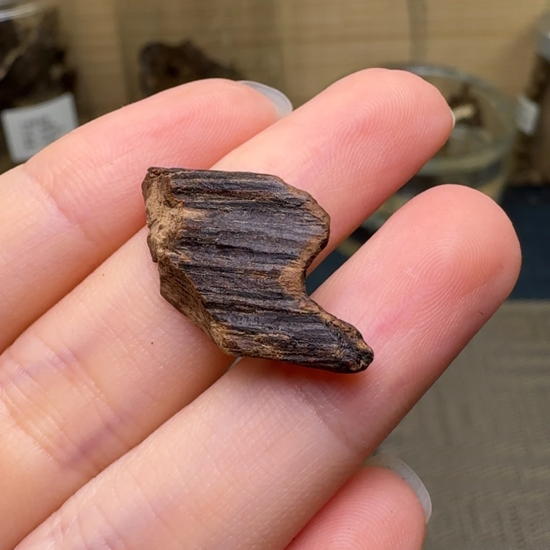 香榧木V****徳老海南沉水老料1克