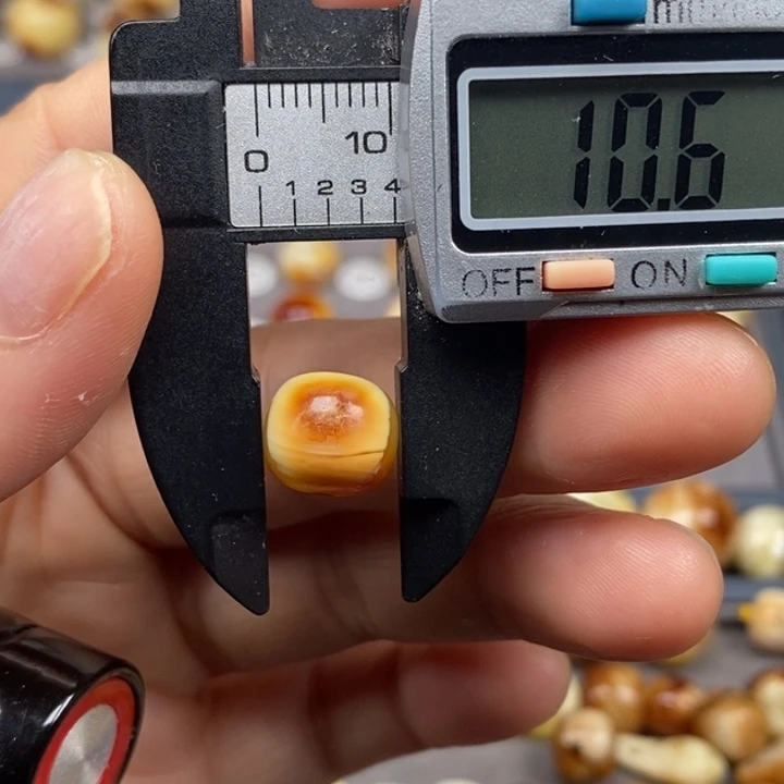 琥珀颈饰未镶嵌老型