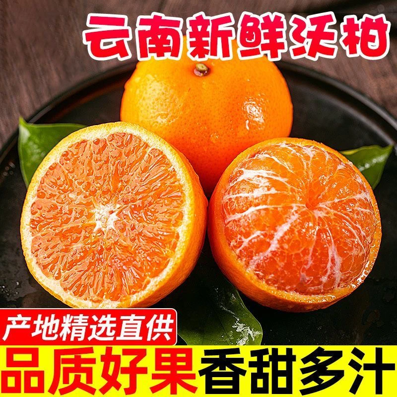 T3【果园自卖】云南高山新鲜沃柑应季水果橘子香甜多汁整箱坏果包赔