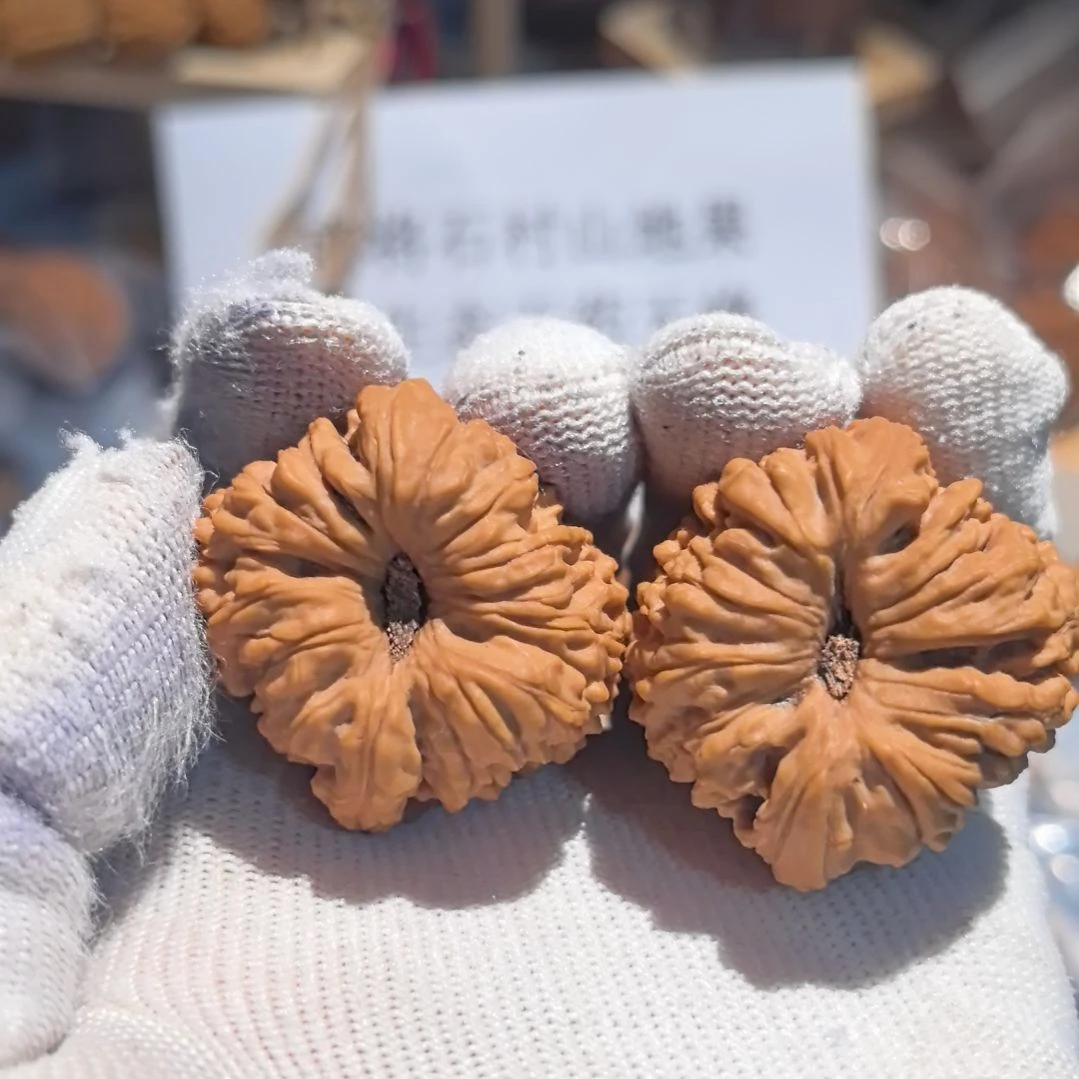 z***z涛子南将石直播拍