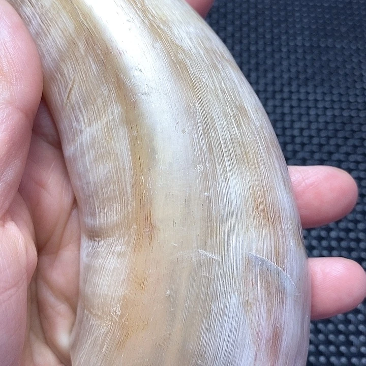 手串/手链驼骨其他配饰