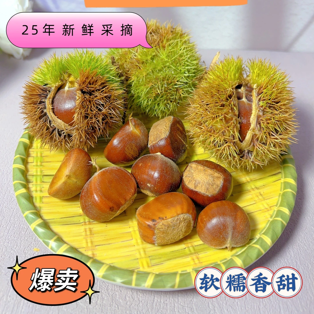 带壳老树栗子泰安市大津口原产地直发软糯香甜即食