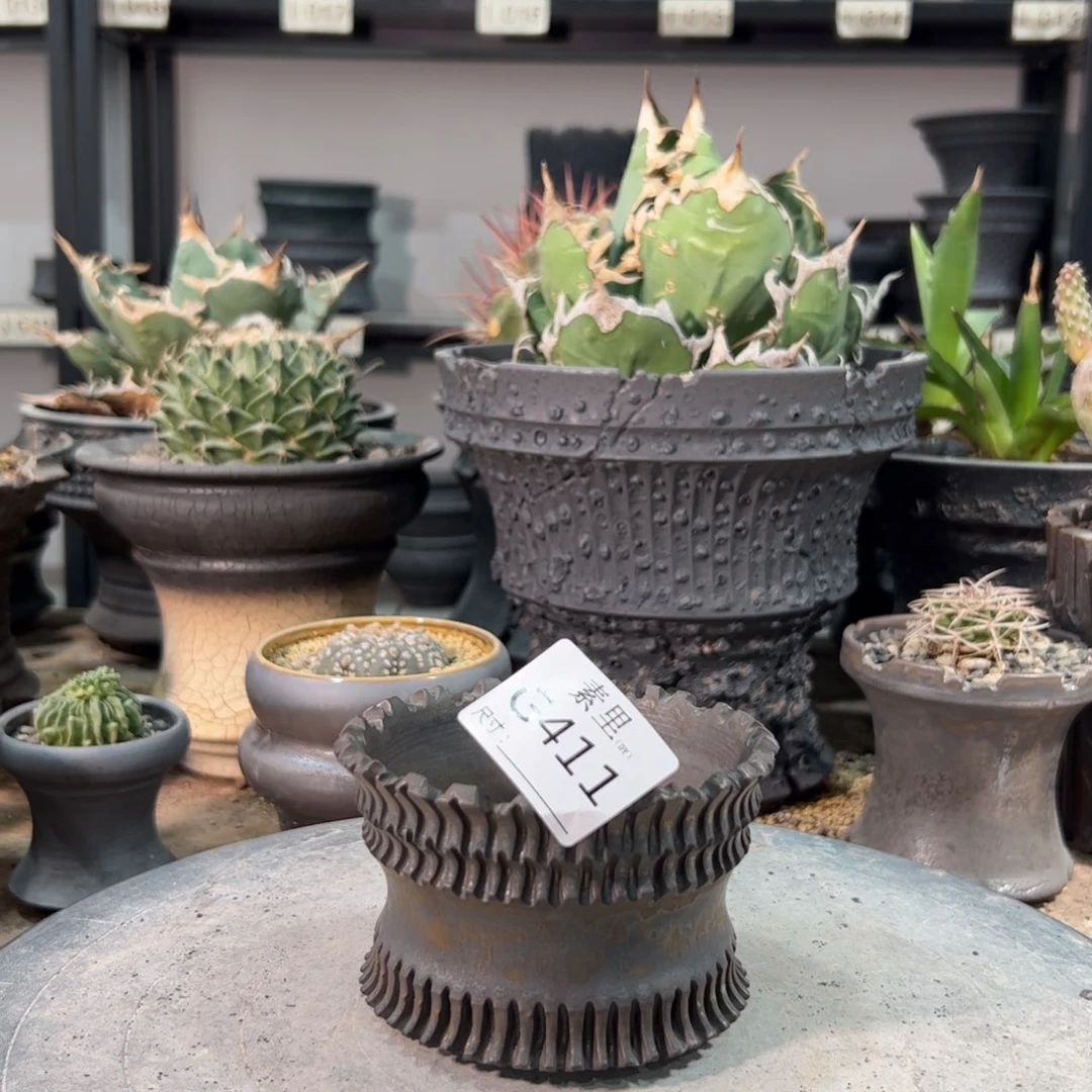 景德镇素里手工内口9高6.5