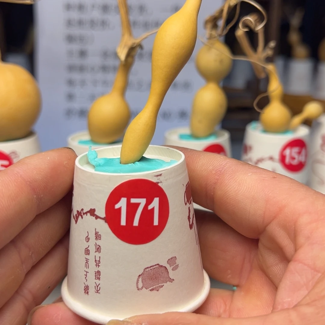 闪电购自助下单编号171