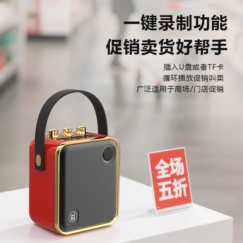 琅韵 D91 户外蓝牙直播音箱K歌手提音响复古广场舞便携网红露营