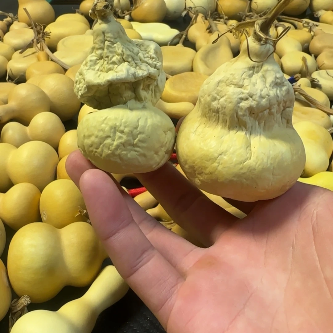 逸***翥有机玻璃葫芦葫芦葫芦葫芦葫芦