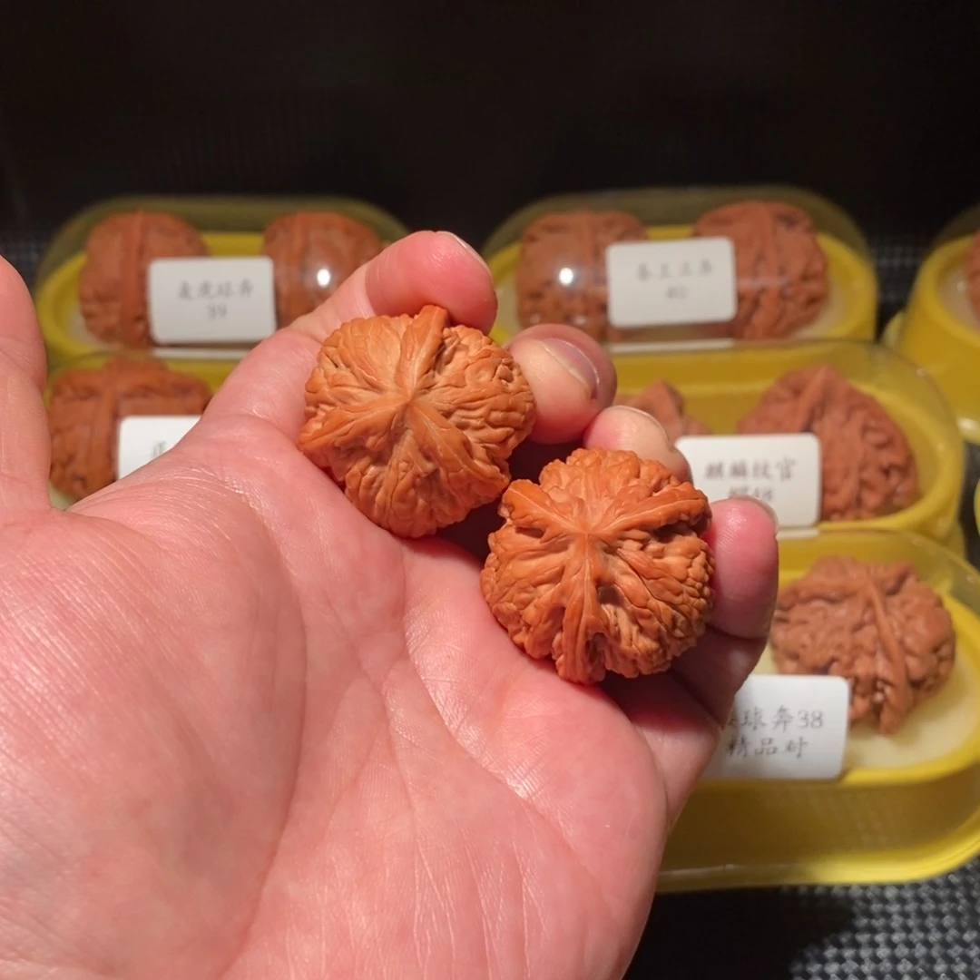 33御龙粗筋正球奔精品对