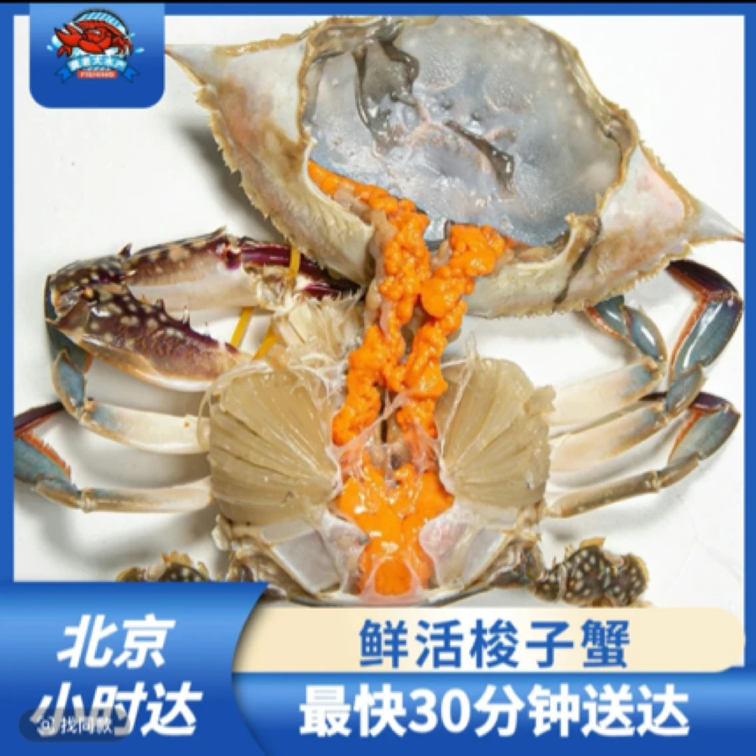 【鲜活母】鲜活梭子蟹，3两左右/只，只只保有黄（保鲜不保活）
