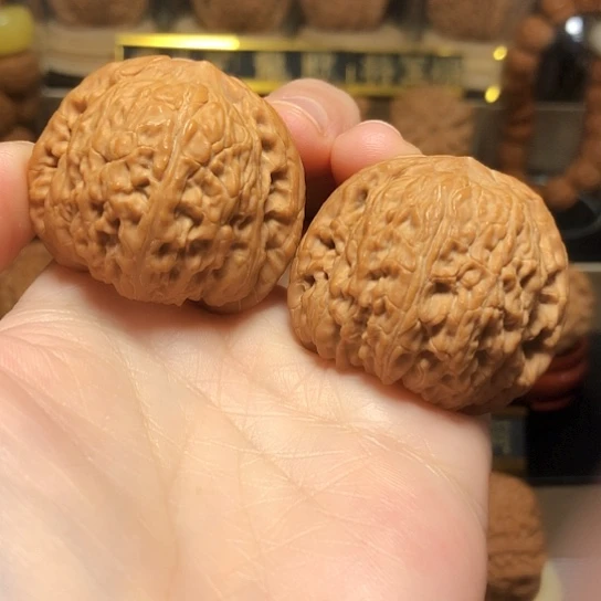 精品泥鳅背全品无
